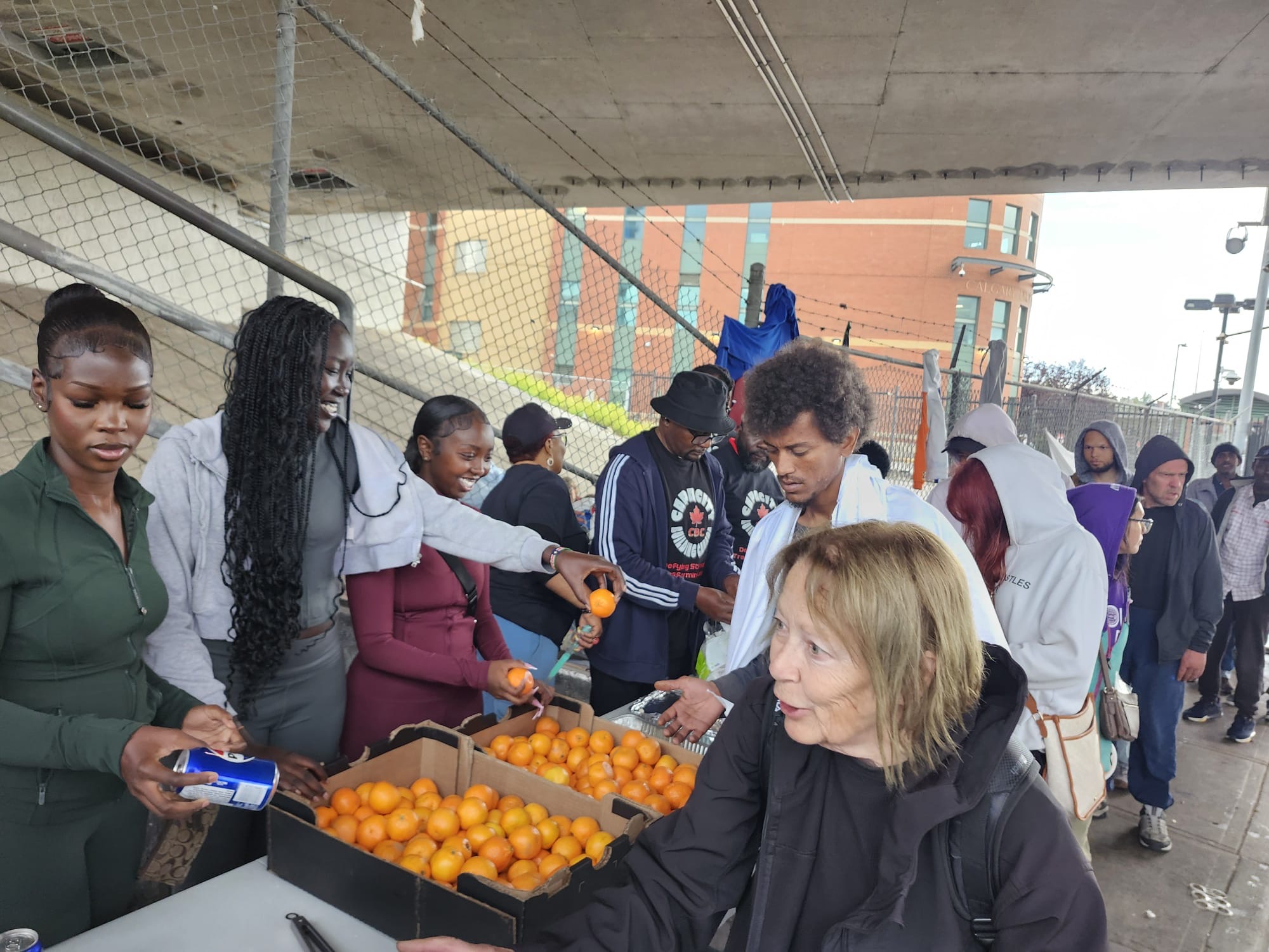 Bridging Gaps community impact